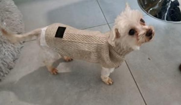 Bolte  in 47506 Neukirchen-Vlyn