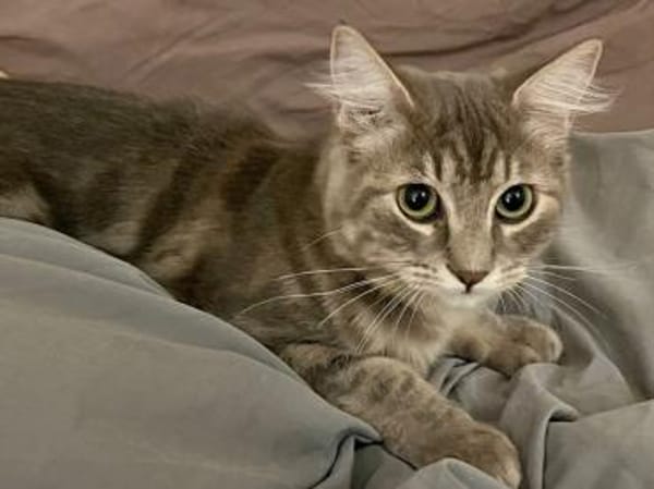 Bea freut sich auf ihr neues Zuhause