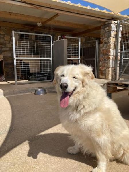 Bruno hat sein Zuhause verloren