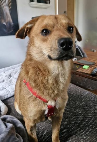 Mr. Waffels, auf PS in Nürnberg