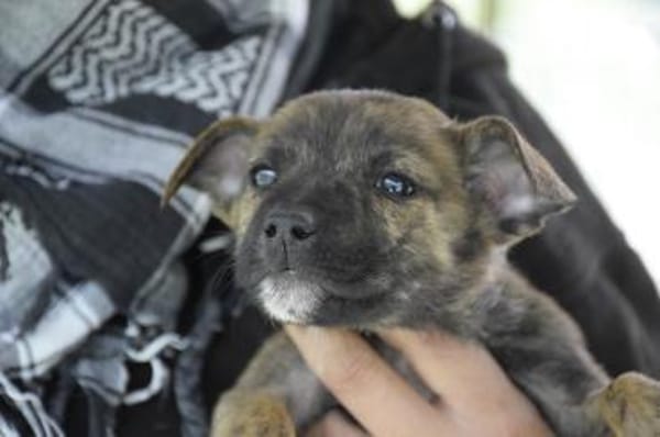 Winnie auf der Suche nach einem Zuhause