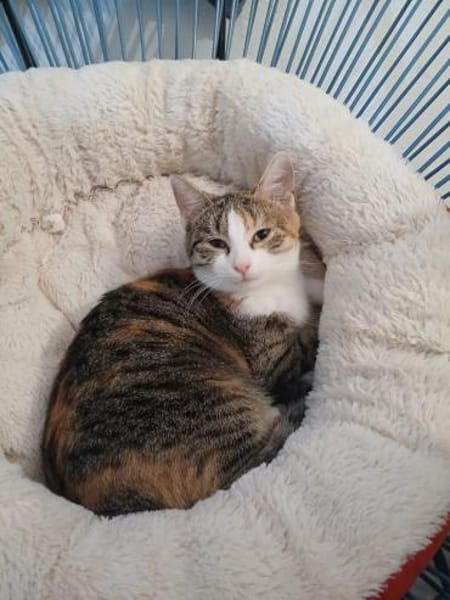 💕Tali💕 sucht ihre Menschen