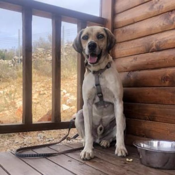 Ares möchte dein Herz erobern!