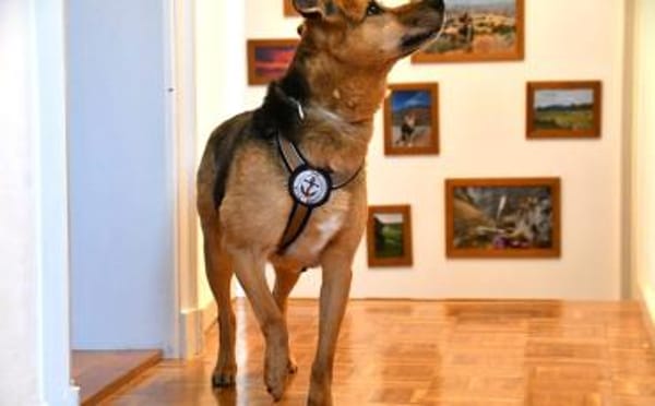 Susa sucht ihre Menschen