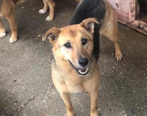 Susa sucht ihre Menschen