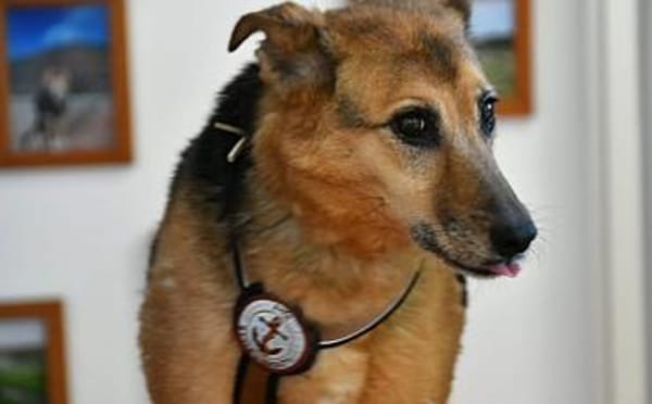 Susa sucht ihre Menschen