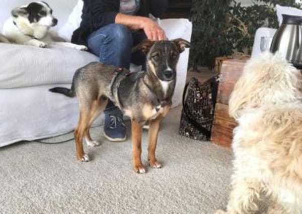 Arnaud ist eine liebe kleine Seele