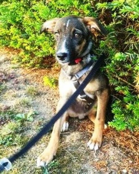 Arnaud ist eine liebe kleine Seele