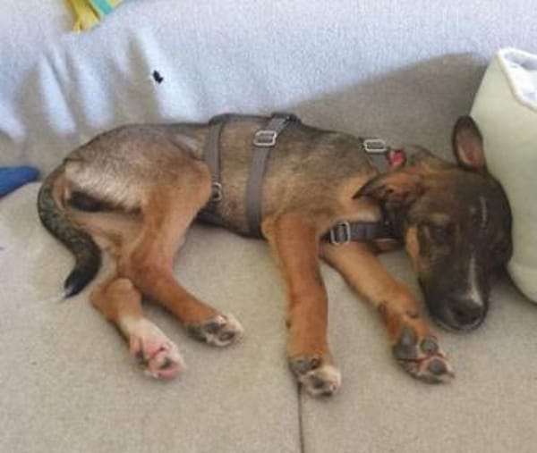 Arnaud ist eine liebe kleine Seele