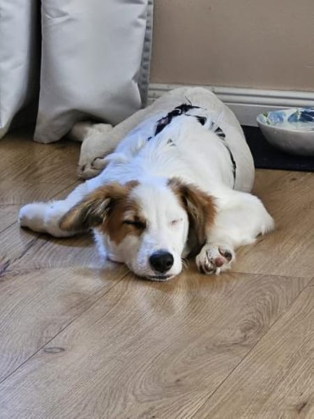 Tonya-jung, klug und regelverliebt