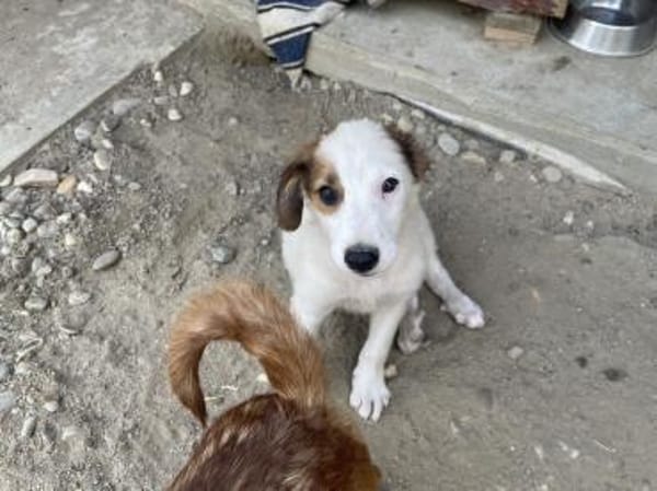 Tonya-jung, klug und regelverliebt