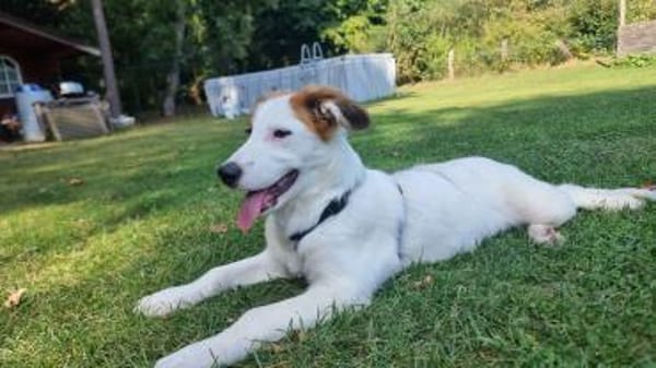 Tonya-jung, klug und regelverliebt