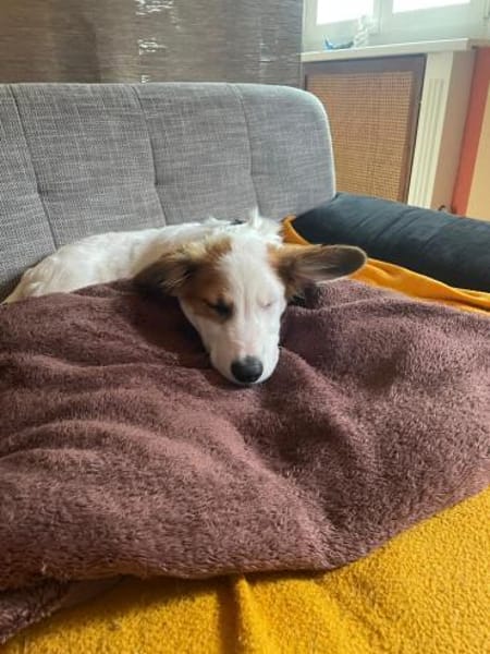 Tonya-jung, klug und regelverliebt