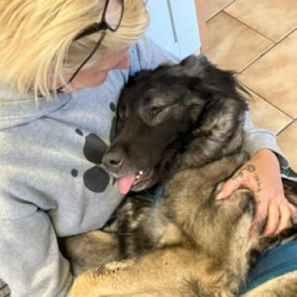 MILLA - sanfte&verschmuste Hundedame