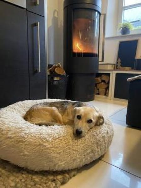 Kleine, zierliche Sunny ❤🐾