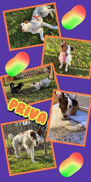 Tolle Priva in München!