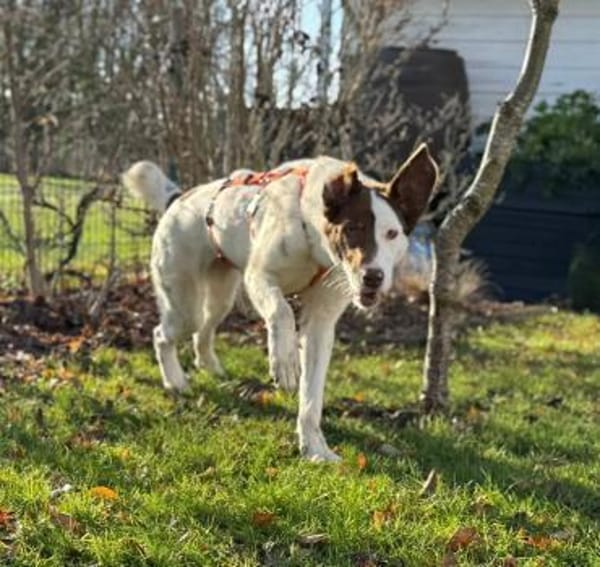 Tolle Priva in München!