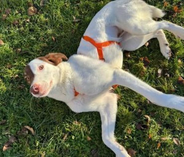 Tolle Priva in München!