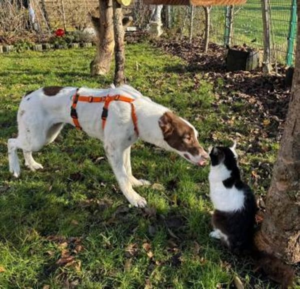 Tolle Priva in München!