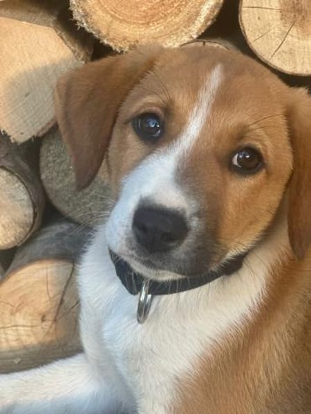 Tink - einfach bezaubernd