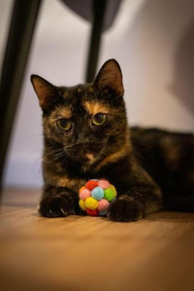 Butterfly- zart, sanft