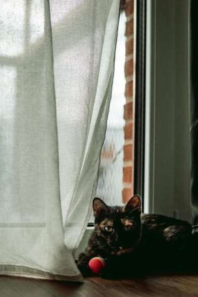 Butterfly- zart, sanft