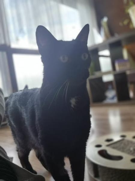 Best-Ager Tom u. Jerry in Lorch