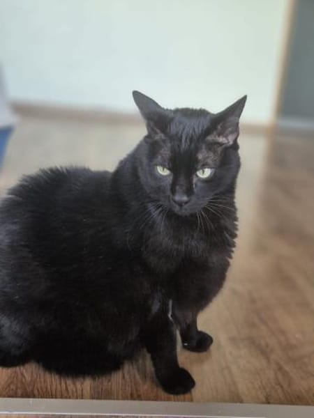 Best-Ager Tom u. Jerry in Lorch