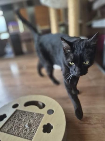 Best-Ager Tom u. Jerry in Lorch