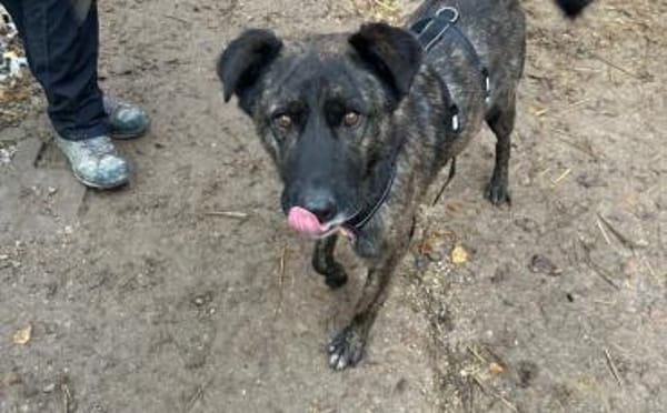 Schenkst du Bärt ein neues Leben?