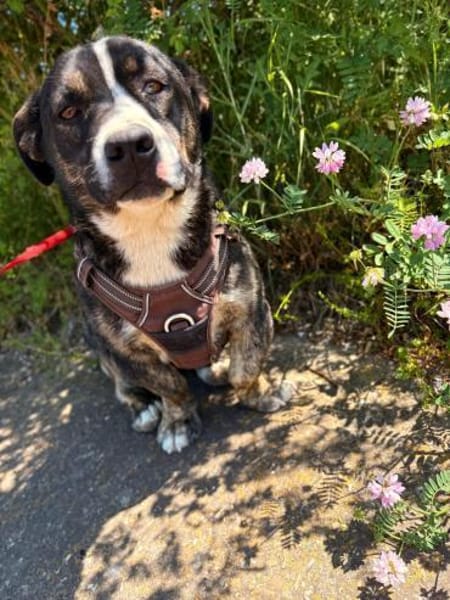 Spyro möchte endlich ankommen - mit dir?