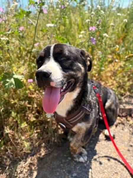 Spyro möchte endlich ankommen - mit dir?