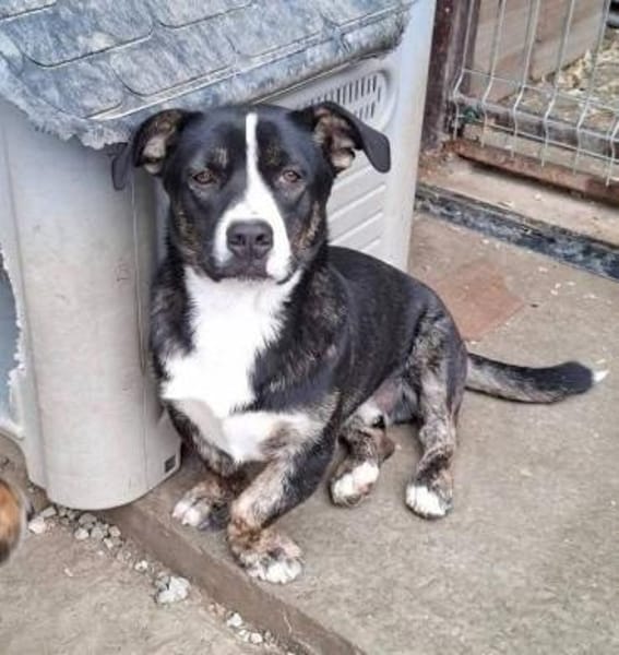 Spyro möchte endlich ankommen - mit dir?