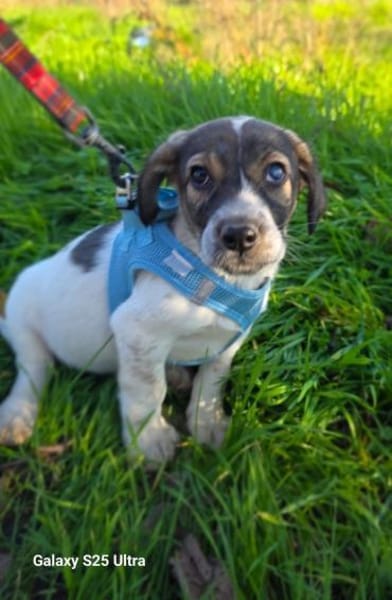 Nelly ein tolles Mädchen