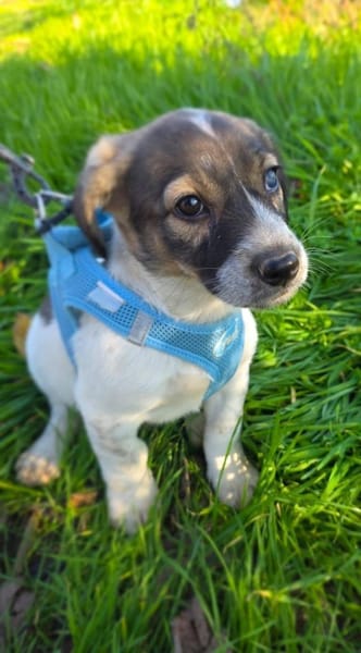 Nelly ein tolles Mädchen