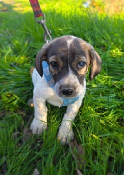 Nelly ein tolles Mädchen