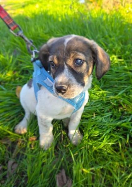 Nelly ein tolles Mädchen