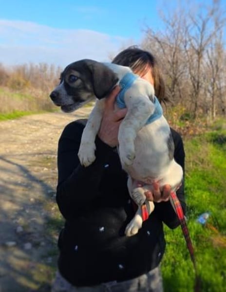 Nelly ein tolles Mädchen