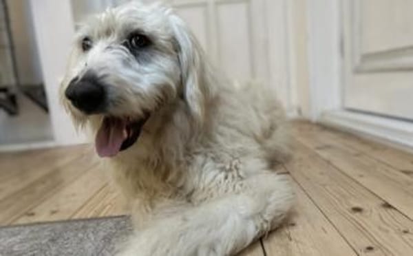 Gewinnst du Bertils Vertrauen?