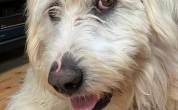 Gewinnst du Bertils Vertrauen?