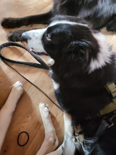 ARKANI - klar geregelten Alltag erleben