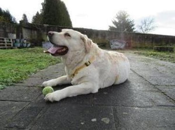 Freundliche, gemütliche Sahara