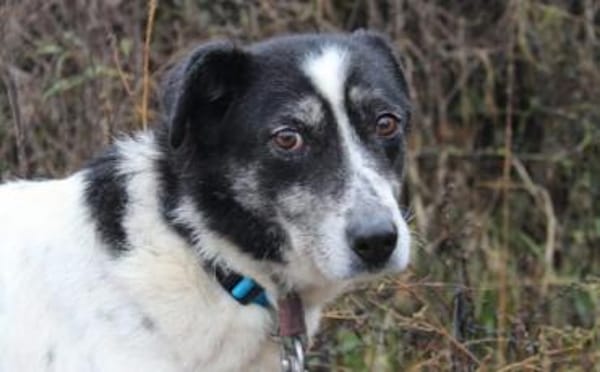 Wo sind Susus Menschen?