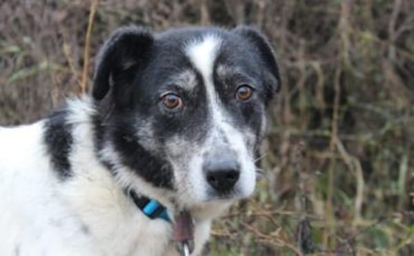 Wo sind Susus Menschen?