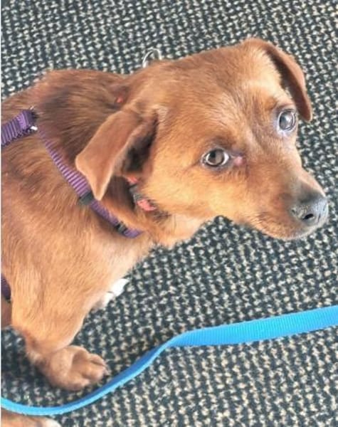 Wundervolle Leni sucht Familie