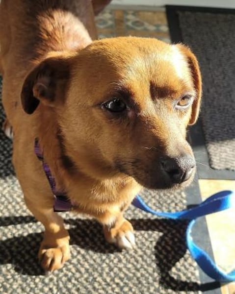 Wundervolle Leni sucht Familie