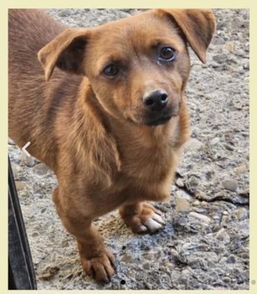 Wundervolle Leni sucht Familie