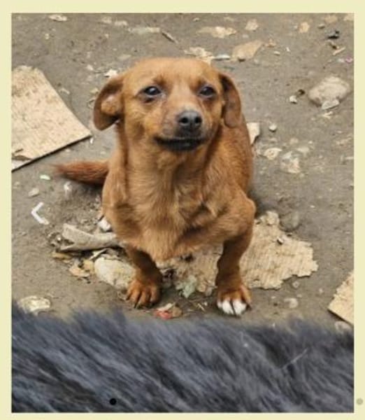 Wundervolle Leni sucht Familie