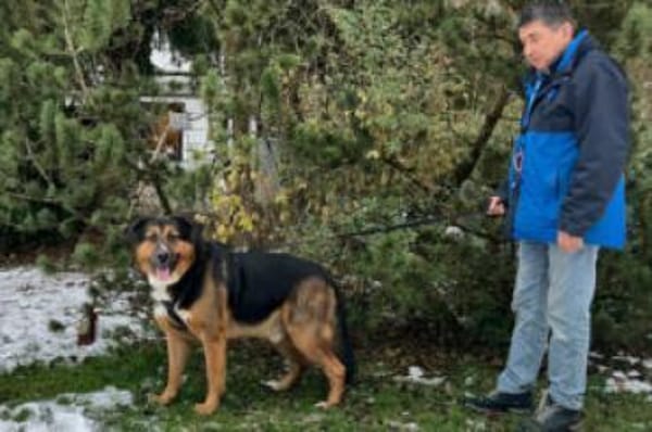 JENN-BALU - gutmütig&kinderlieb