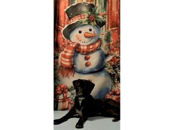 Jaala - wartet in 22145 Hamburg